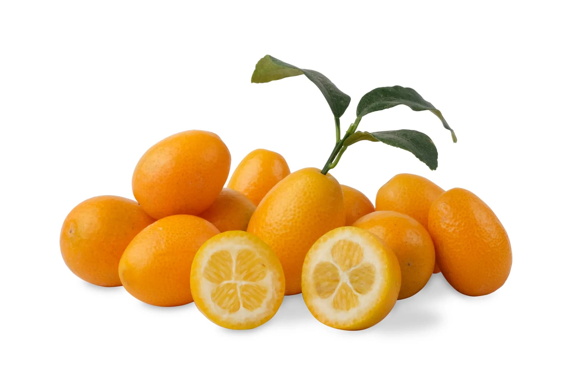 Beyaz Fon Urun Fotograf Cekimi Pnr Studio 014