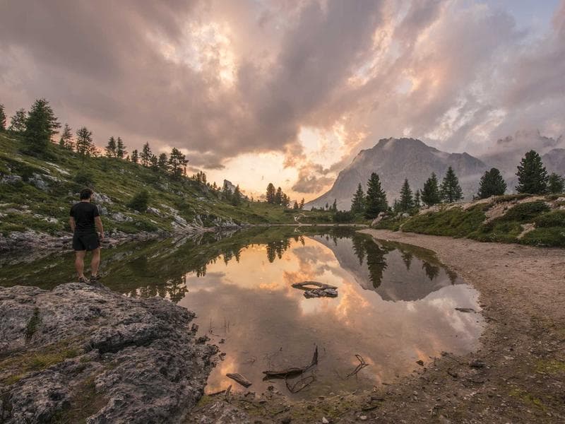 Kuş Fotoğrafçılığı Rehberi — Uzman Teknikler ve PNR Farkıyla 2026