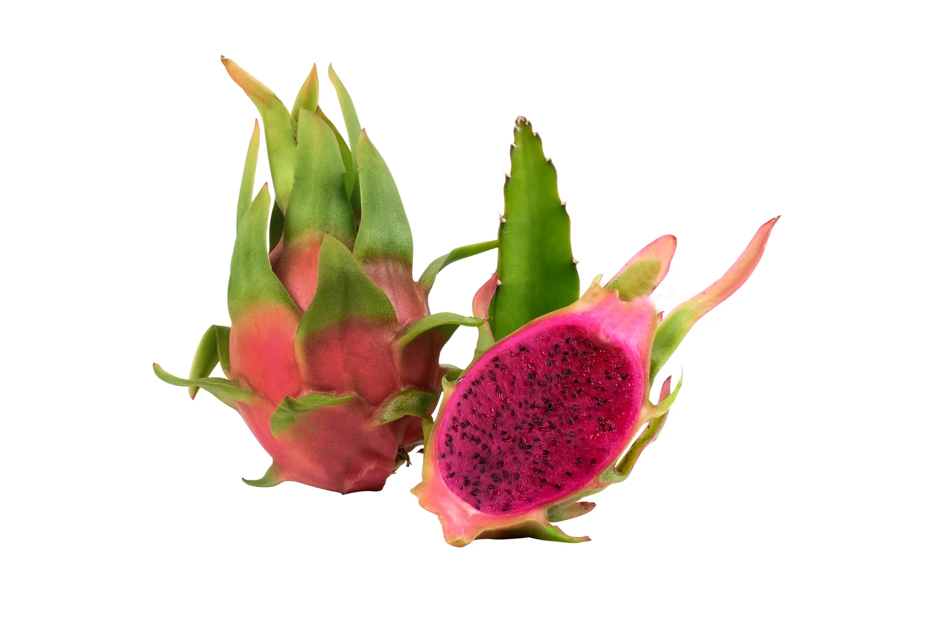 Portfolio Image 10