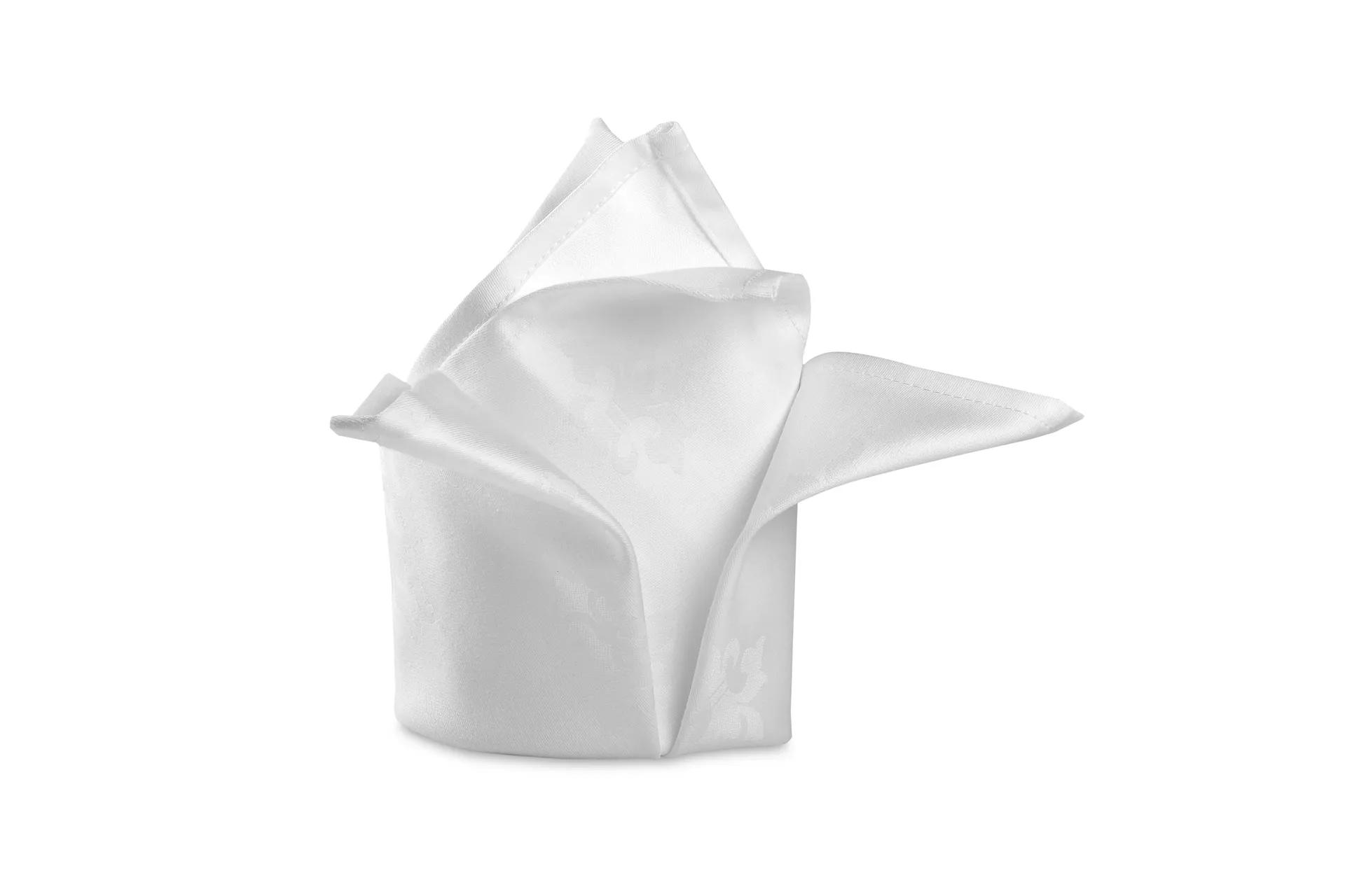 Portfolio Image 11