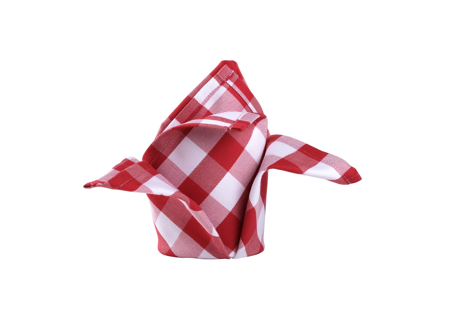 Portfolio Image 12